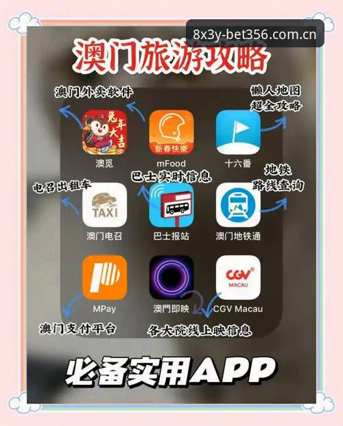 澳门BET356官网登录实战指南：从注册到投注的完整操作流程